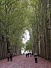 chenonceaux
