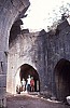 cruisader.jpg