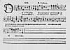 b019.jpg