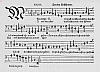 b029.jpg