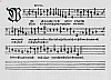 b031.jpg