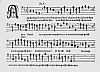 b045.jpg