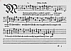 b050.jpg