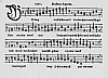 b115.jpg