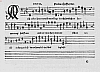 b117.jpg
