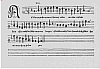 d007.jpg