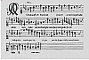 d012.jpg