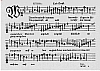 d024.jpg