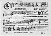 d032.jpg