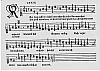 d079.jpg
