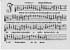 d084.jpg