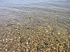 rhein niedrigwasser