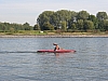 rhein niedrigwasser