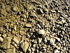 rhein niedrigwasser