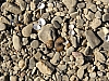 rhein niedrigwasser