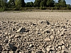 rhein niedrigwasser
