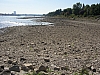 rhein niedrigwasser