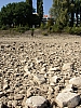 rhein024.jpg