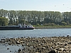 rhein niedrigwasser