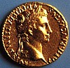 aureus.jpg